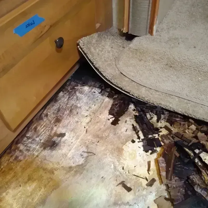 Wood Floor Water Damage in Odin, IL